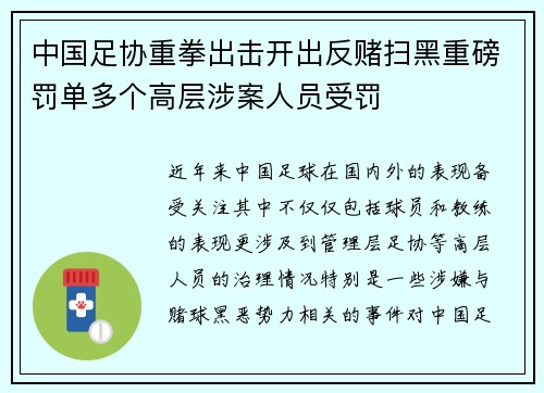 中国足协重拳出击开出反赌扫黑重磅罚单多个高层涉案人员受罚